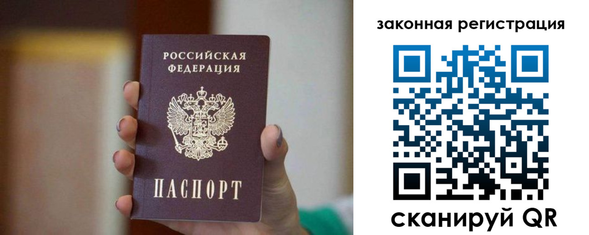 где прописаться в Фрязино